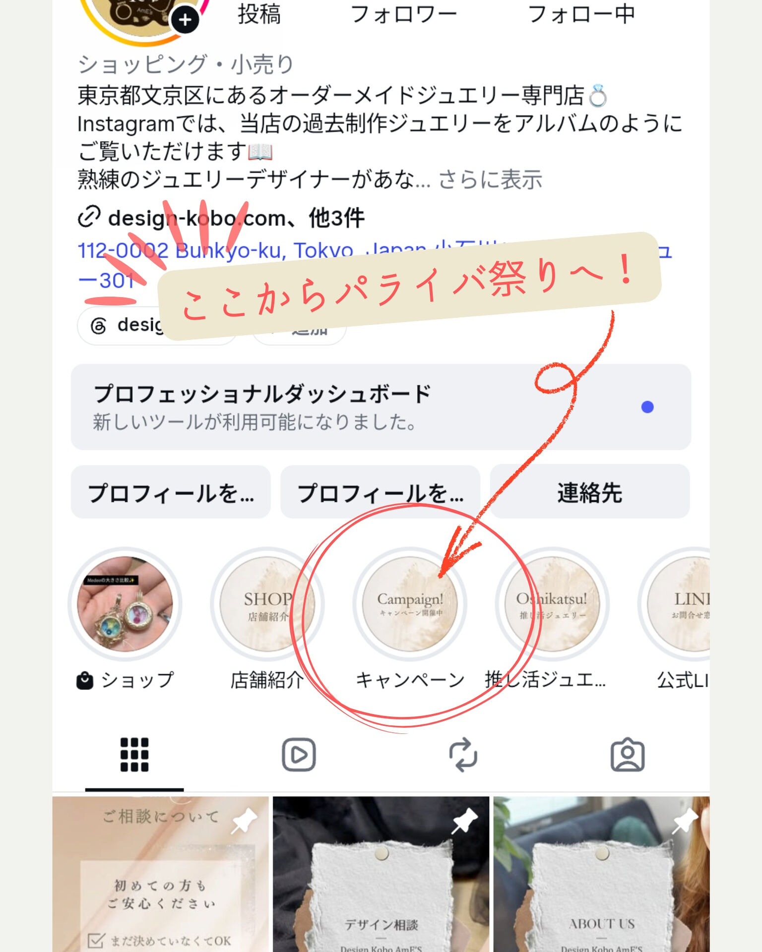 「パライバ祭り」を絶賛開催中！🎆